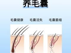 -广州绿地中央广场