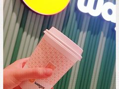 -Wagas沃歌斯(合生汇店)
