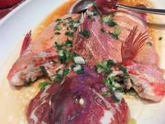 -舜和巴西烤肉餐厅(舜和国际店)