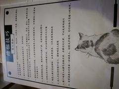 -猫咖时代(中山亭店)