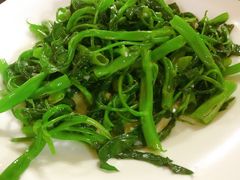 时蔬小菜-竹野·上|老字号全竹宴
