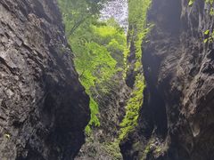 -野三坡百里峡景区