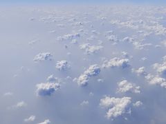 -东方航空(虹桥路店)