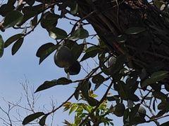 -九华山公园