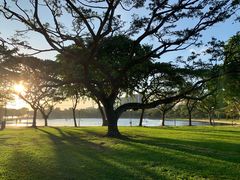 -东海岸人工湖美食村