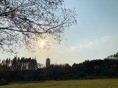 -宜兴龙背山森林公园