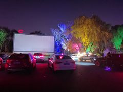 -枫花园汽车电影院(朝阳公园店)