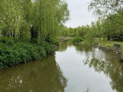 -上海滨江森林公园·停车场