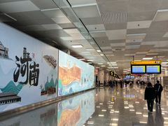 -郑州新郑国际机场-T2航站楼