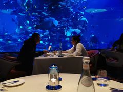 -迪拜帆船酒店海底餐厅