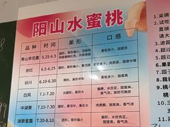 -老袁家蜜桃农场·阳山水蜜桃