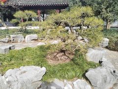 -上海醉白池公园