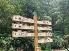 -十九峰景区