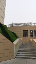 -上海交通大学医学院附属上海儿童医学中心(陆家嘴总院区)