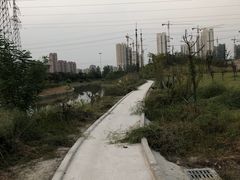 -菊园百果园