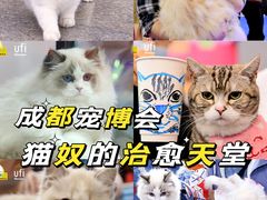 -成都世纪城新国际会展中心