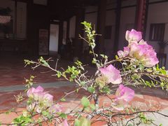 -晋江五店市传统文化旅游区