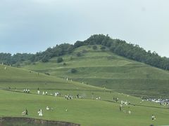 -关山草原