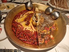 -小龙翻大江文化火锅(宽窄店)