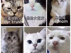 -北京佳信宠物医院