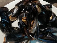 -大连金石滩绿发温泉假日酒店