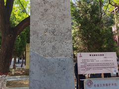 -赵州桥景区