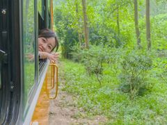 -合肥滨湖国家森林公园