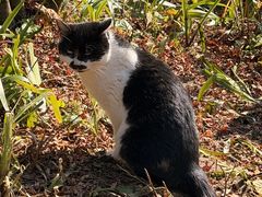 -山王坪喀斯特国家生态公园