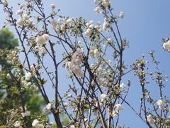 -观澜湖生态运动公社