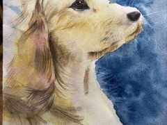 -蒂朵儿童绘画美术教室