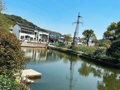 -树山生态村
