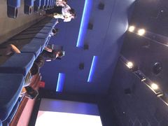 奥斯卡升龙国际影城-奥斯卡升龙国际影城(RealD Cinema)