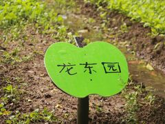 -茂德公草堂