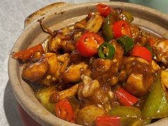 -树厨贵州菜(大十字店)