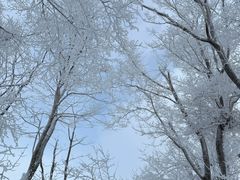 -中旅松花湖滑雪场