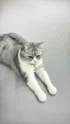 -wow舞蹈培训