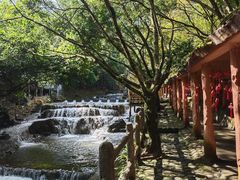 -天门沟九州驿站树上汤泉
