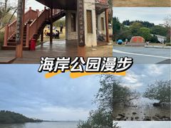 -宝安西湾红树林湿地公园