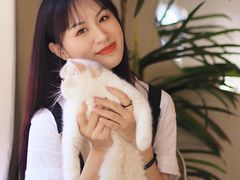 -More Fun猫咖 二十只万元加菲主题