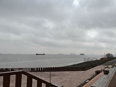 -上海滨江森林公园