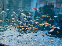 -正佳极地海洋世界