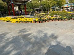 -文瀛公园