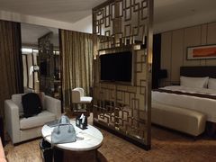 -徐州博顿温德姆酒店(高铁东站店)