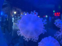 -太平洋海底世界