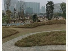 -桂溪生态公园
