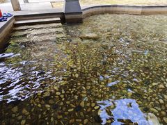 -罗浮山嘉宝田森林温泉度假酒店