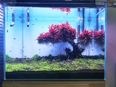 -芭比堂宠物医院·全科爱猫医院·仁德分院