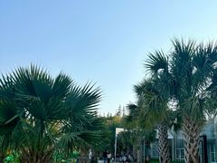 -歌斐颂巧克力小镇