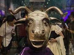 -广西壮族自治区博物馆