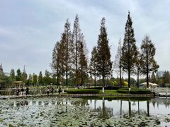-河泥荡文化公园
